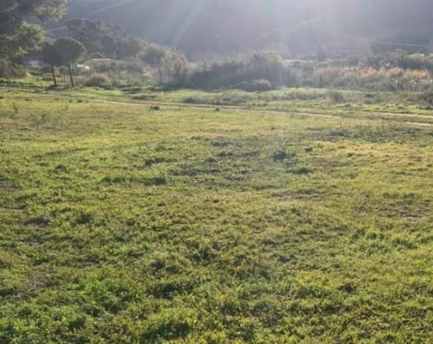 0 Bedroom Property for Sale in Uniondale Western Cape
